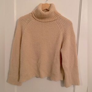 Club Monaco Cropped Turtleneck Sweater